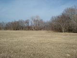 Farris 353 Ranch - rh