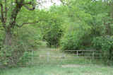 Conifer Road 40