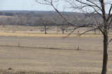 Conifer Road 520-skb