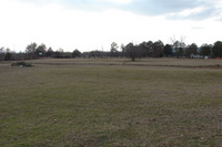 Pasture