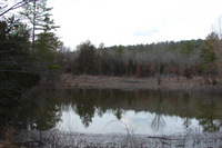 Pond