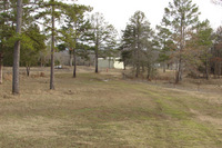 Mixed pasture and trees