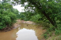 Deep Fork Creek