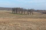 Hanna Pasture 200 - skb