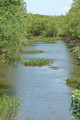 Sardis Lake 95-skb