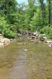 Crum Creek