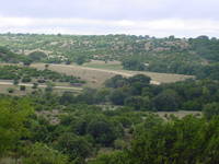 Hilltop View