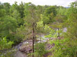 Beach Creek - sb
