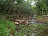 Kiamichi Wilderness