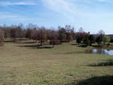 30 AC Combination Tract - mh