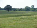 Choctaw 160 Hunting