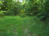 Weekend Get Away - mh