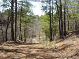 Latimer Mountain Hunting