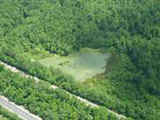 Wildlife Haven - mh