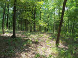 Ringold Hunting Tract - mh