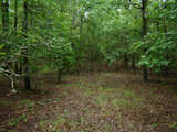 Choctaw Hunting 320