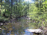 Clear Creek Hunting Tract - mh