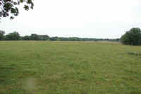 Pasture