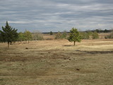 Haskell Hunting Retreat 1284 - rwrb