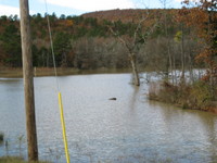 Numerous lakes, ponds, springs and streams.