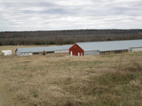 Poultry Breeder/Cattle Farm - rw