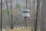 Rich Mountain Foothills rwtw