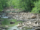 Zafra/Cow Creek 85 - rw
