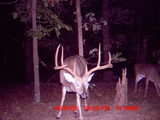 Big Creek 80 -rw