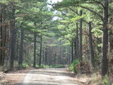 Haw Creek 80 -rw