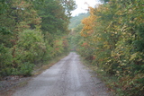 Compton Hollow 20 rwtw