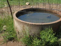Fresh water for healthy animals