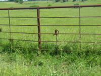 Piped water to most pastures