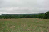 Cabiness 140 Acres - sb