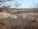 16 Point Deer Hunting 120 - sb