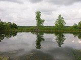 Stuart Area Hunting & Recreation - sb