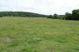Stuart Pasture & Hunting Combo 150 - sb