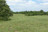 Kiowa Pasture & Hunting Combo 200 - sb