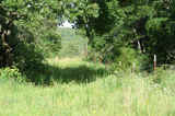 Henryetta Hunting 240 - sb