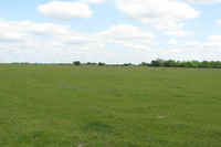 Pasture