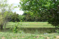 Pond