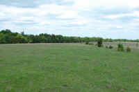 Pasture