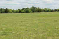 Pasture