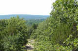 Jack Fork 120 - sb