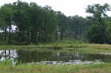 LeFlore Combination Ranch