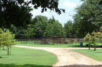 Working Corral