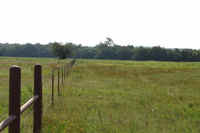 Excellent Fencing