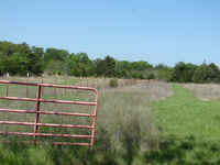 Fencing  