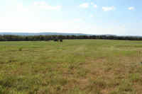 Pasture