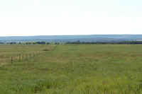 Very good fencing and cross fencing