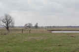 Checotah 155 Ranch - sb